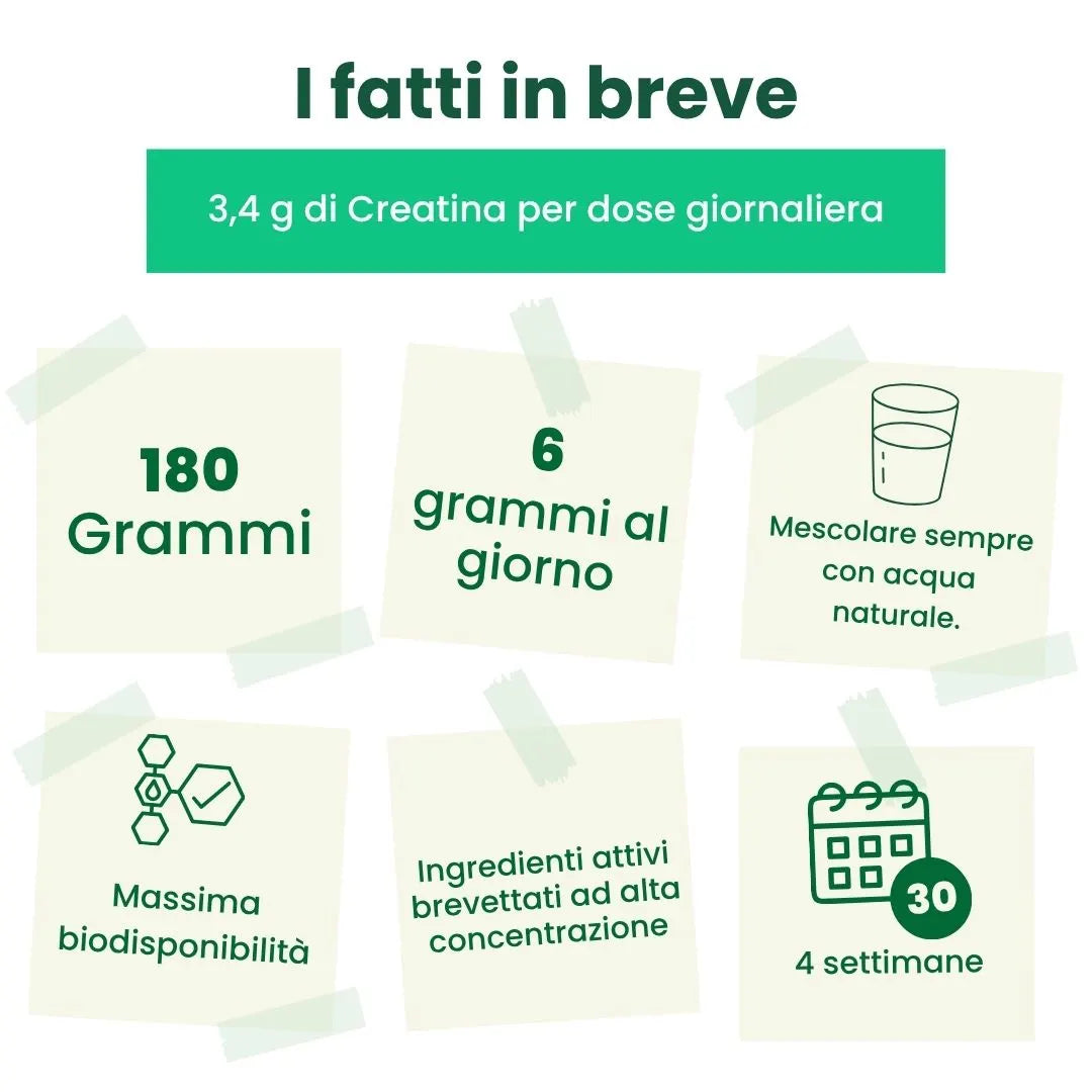 Creatina Booster | Energia Cerebrale, Muscolare & Mentale