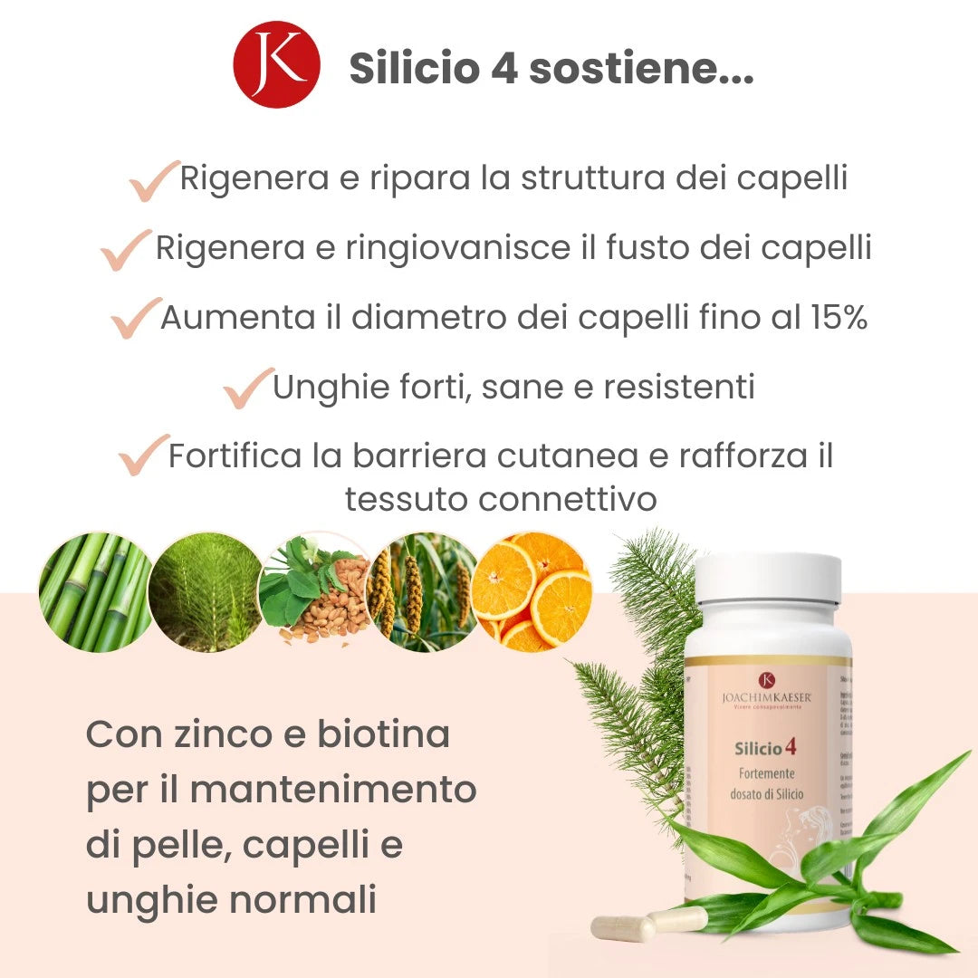 Silicio 4