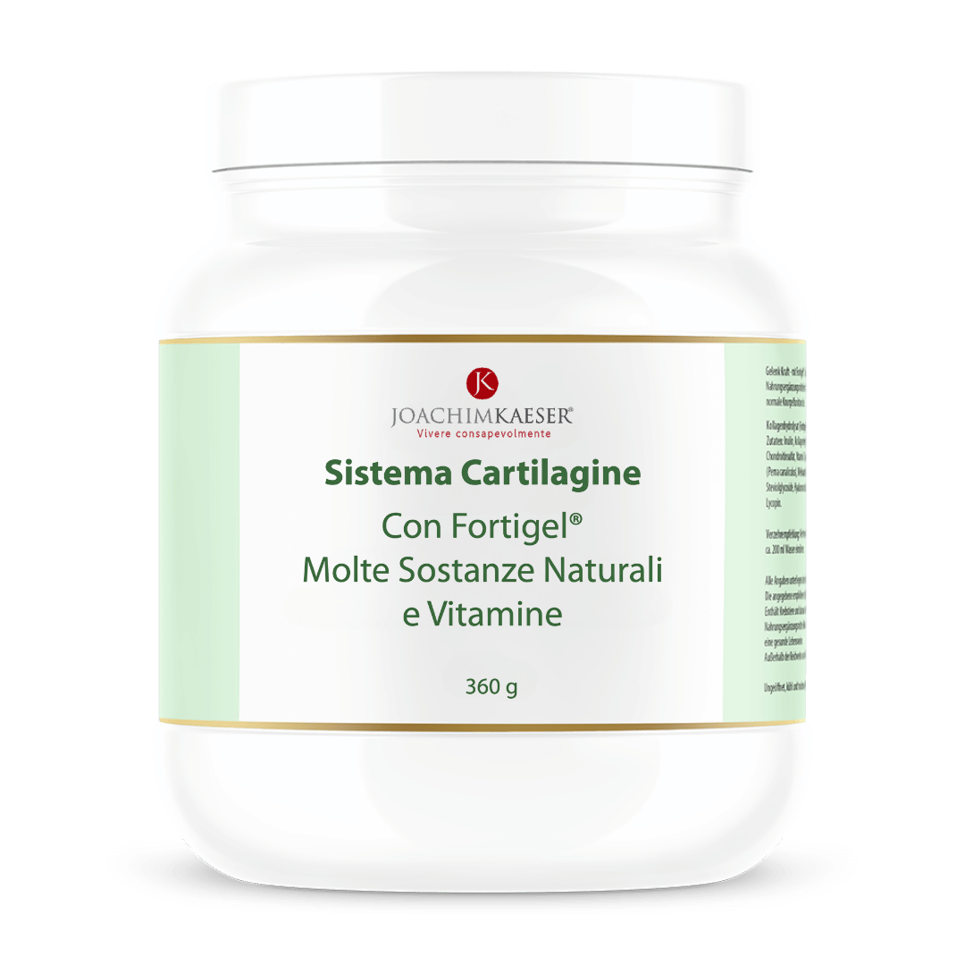 Sistema Cartilagine