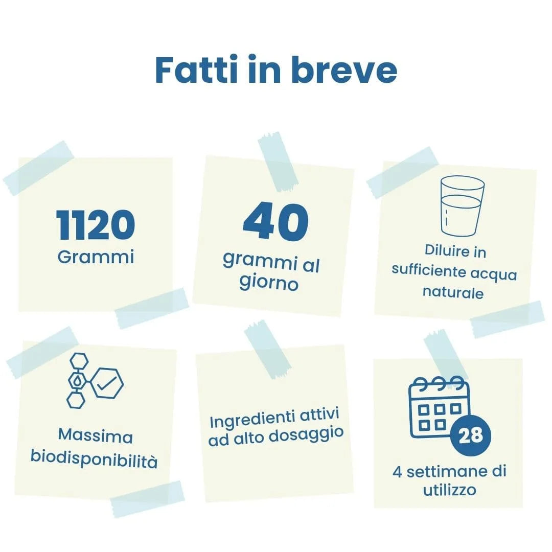 Slim & Beauty – infografica