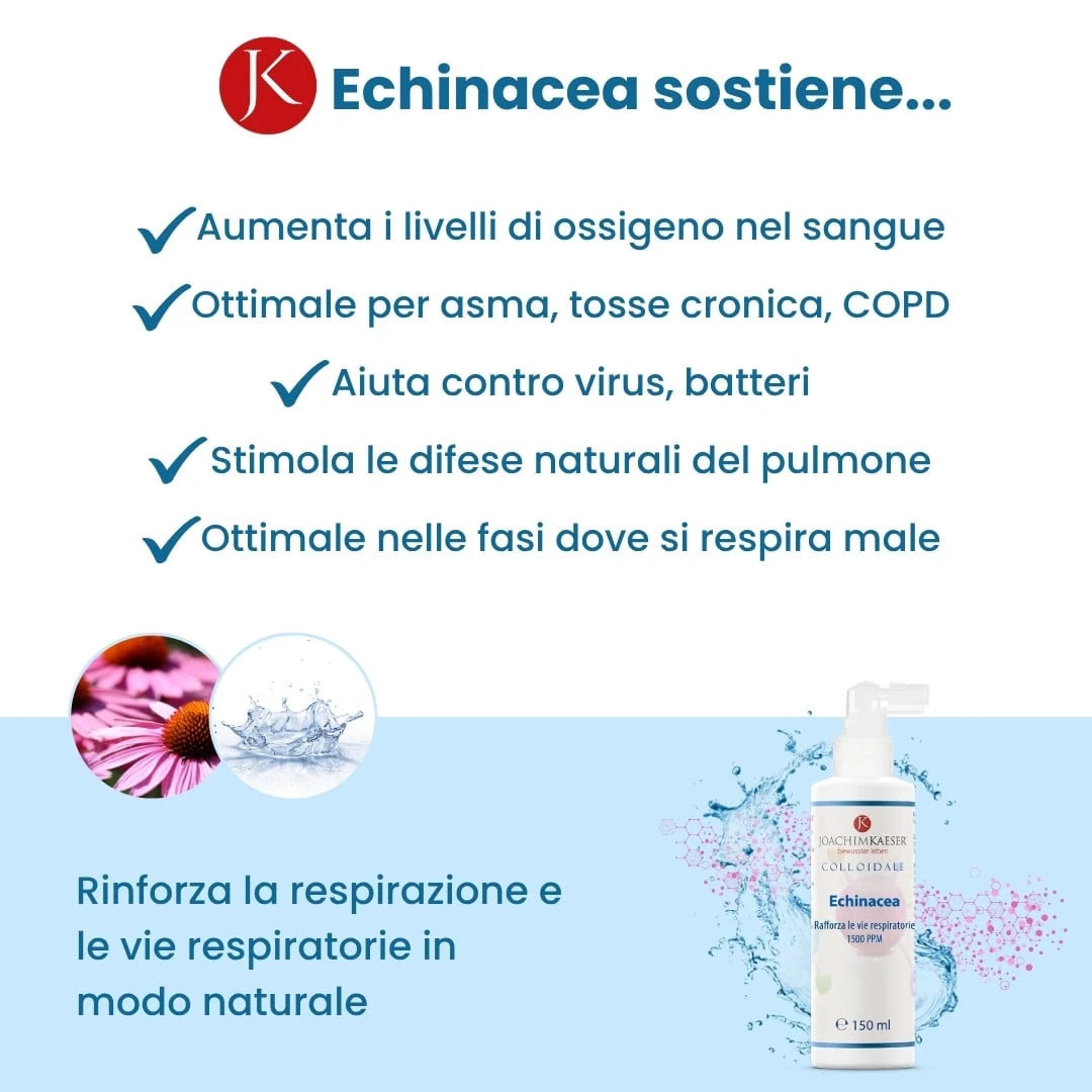 Echinacea Colloidale