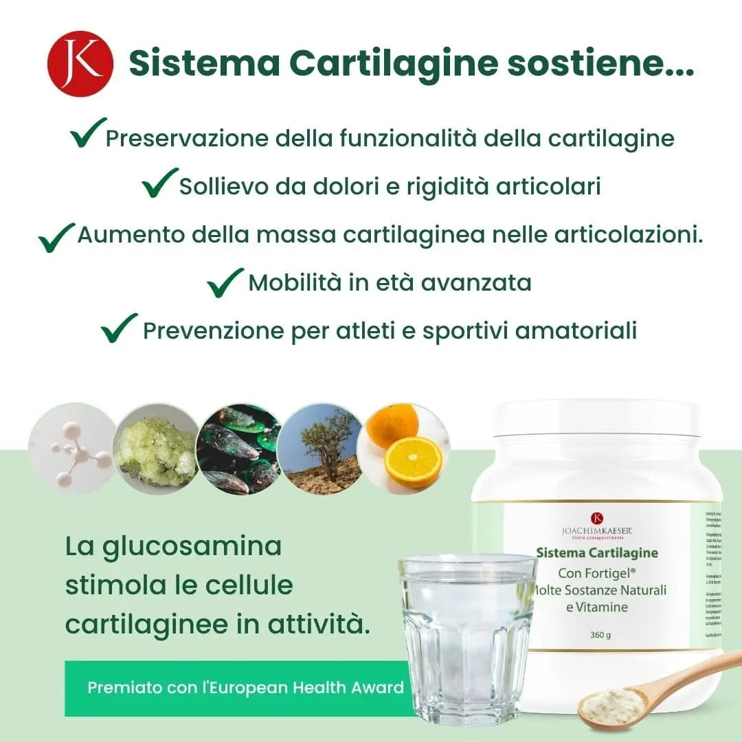Sistema Cartilagine