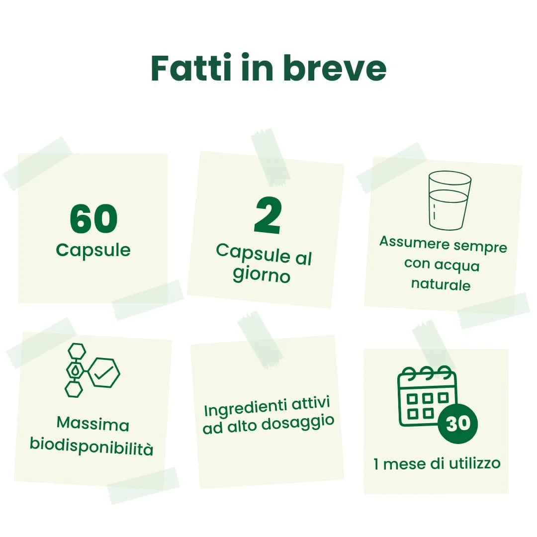 Vene Forte