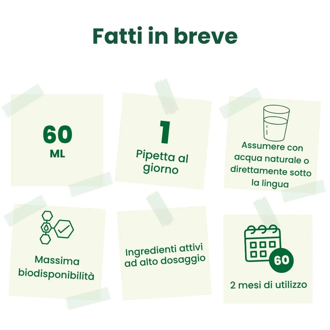 Osseo Diretto