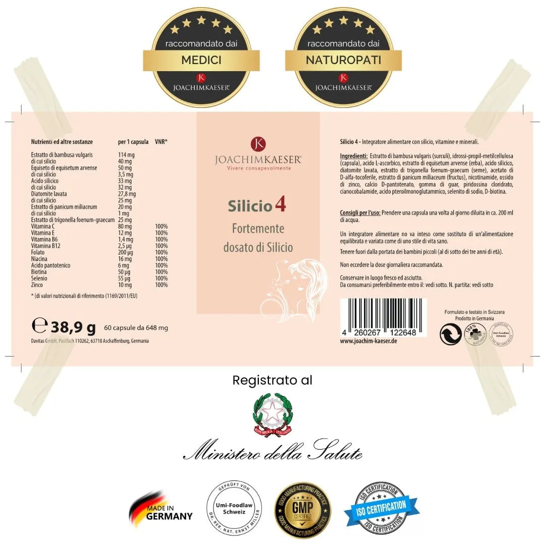 Silicio 4