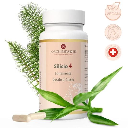 Silicio 4