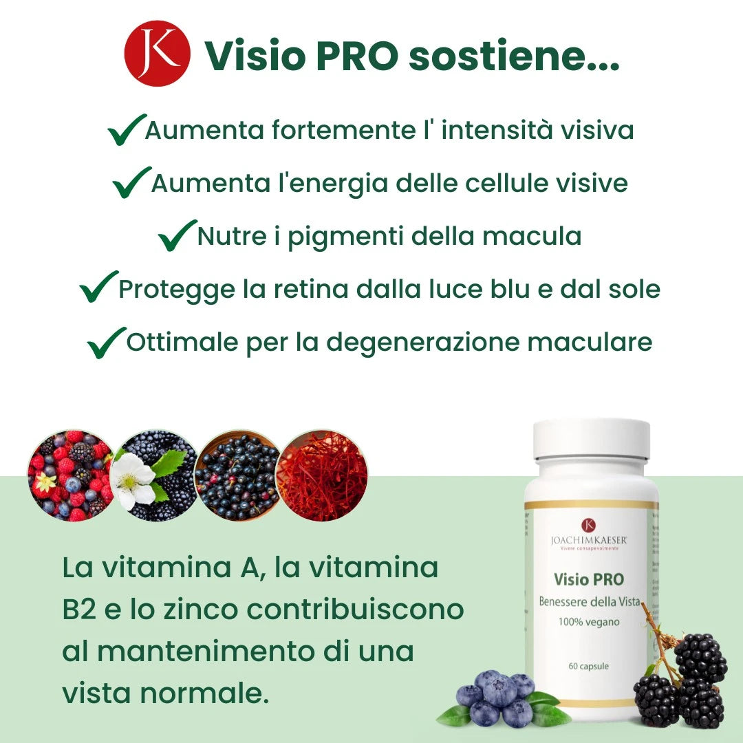Visio Pro