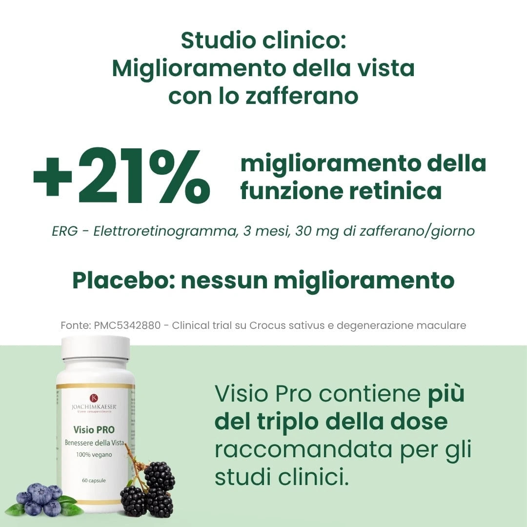 Visio Pro