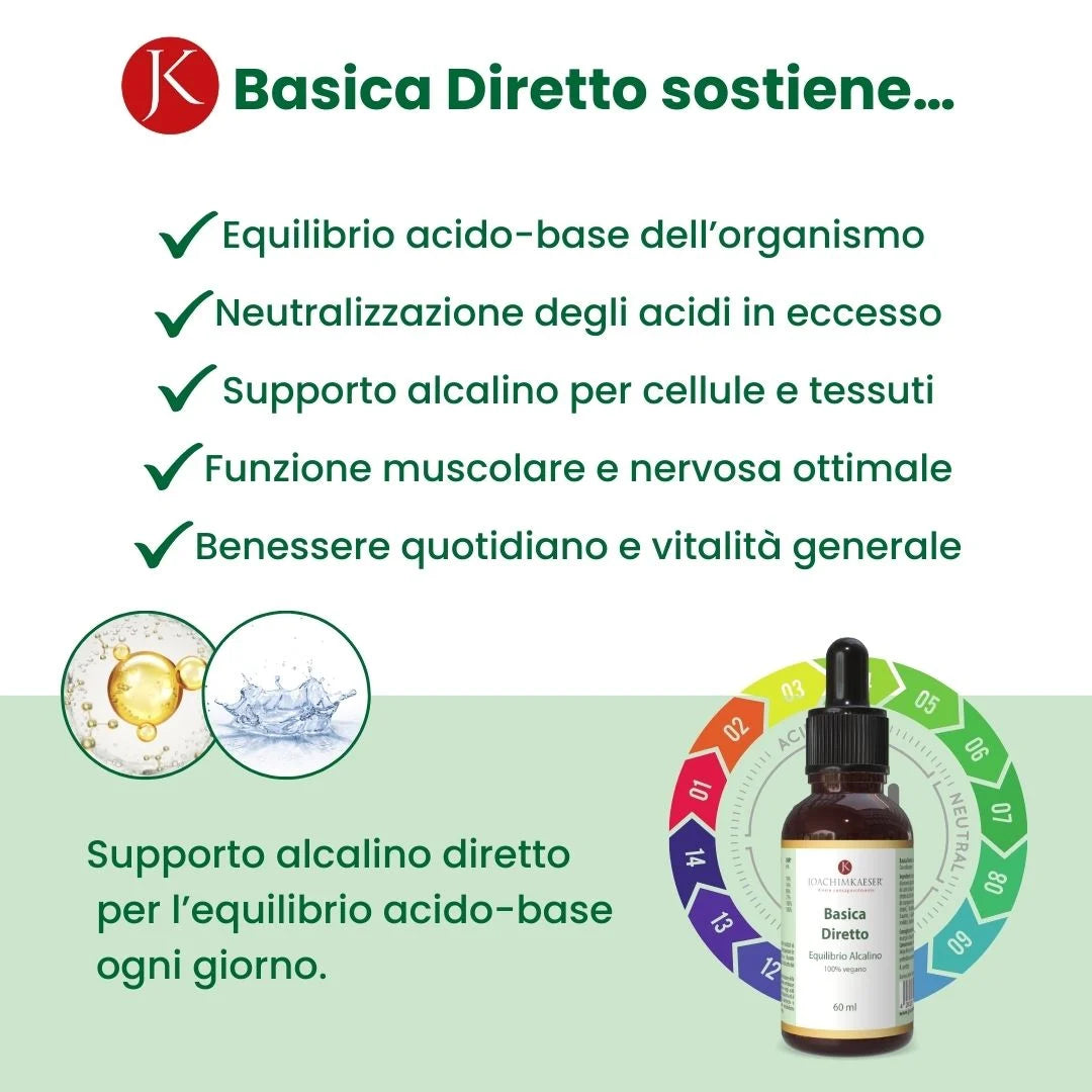 Basica Diretto