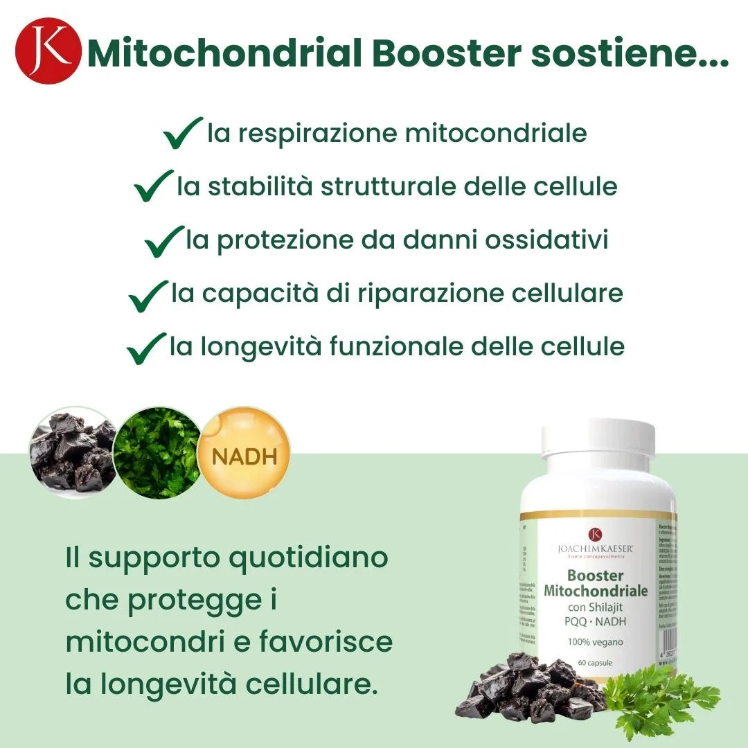Booster Mitochondriale