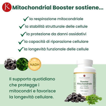 Booster Mitochondriale