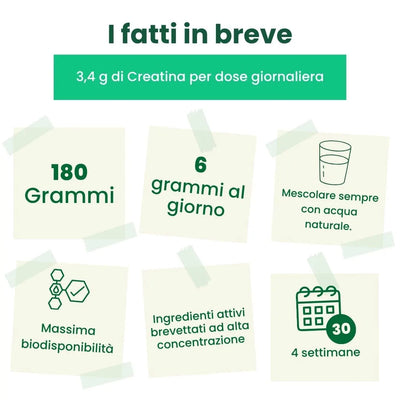 Creatina Booster | Energia Cerebrale, Muscolare & Mentale