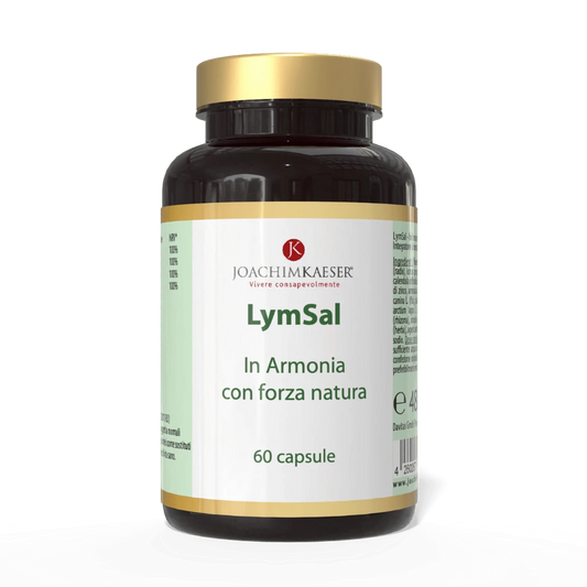 Lymsal