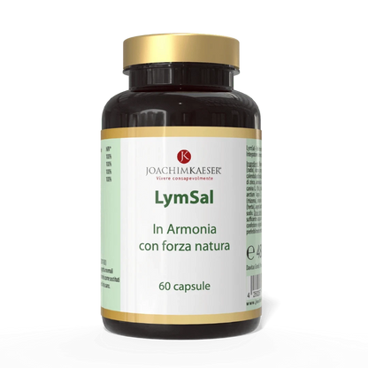 Lymsal