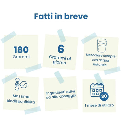 Notte Diet