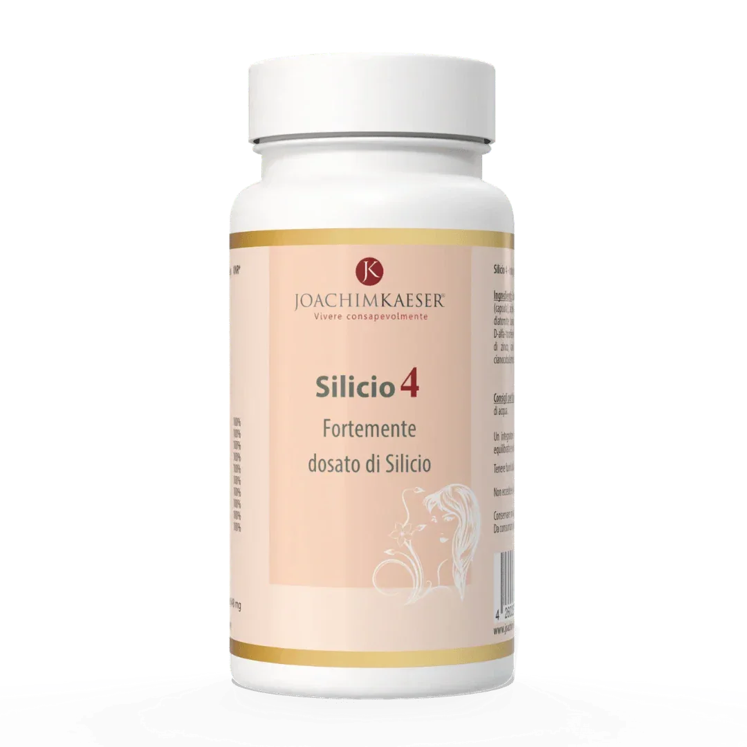 Silicio 4