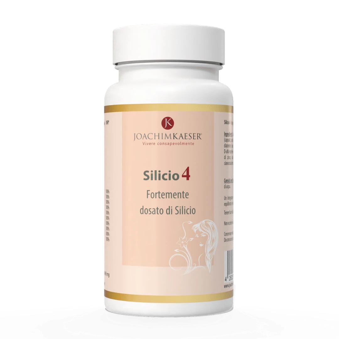 Silicio 4