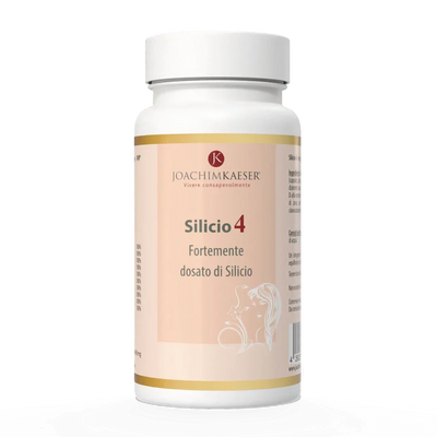 Silicio 4
