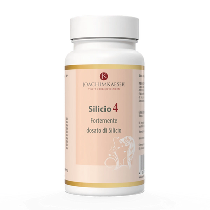 Silicio 4