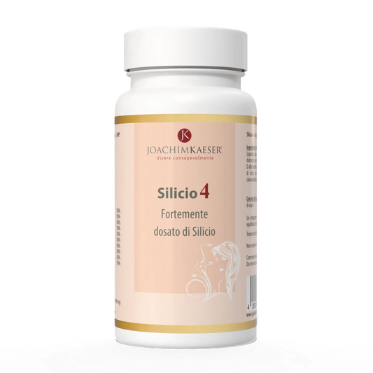 Silicio 4