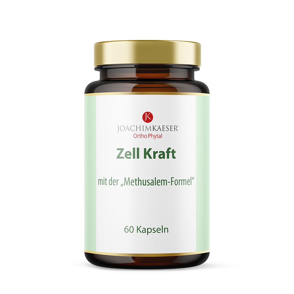 Cellule Forti