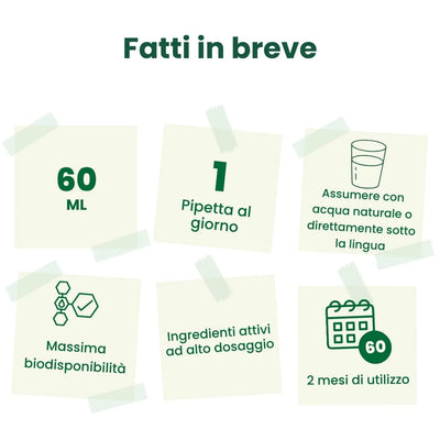 Amino 11 Diretto