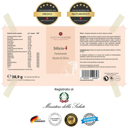 Silicio 4