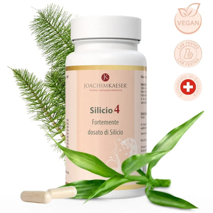 Silicio 4