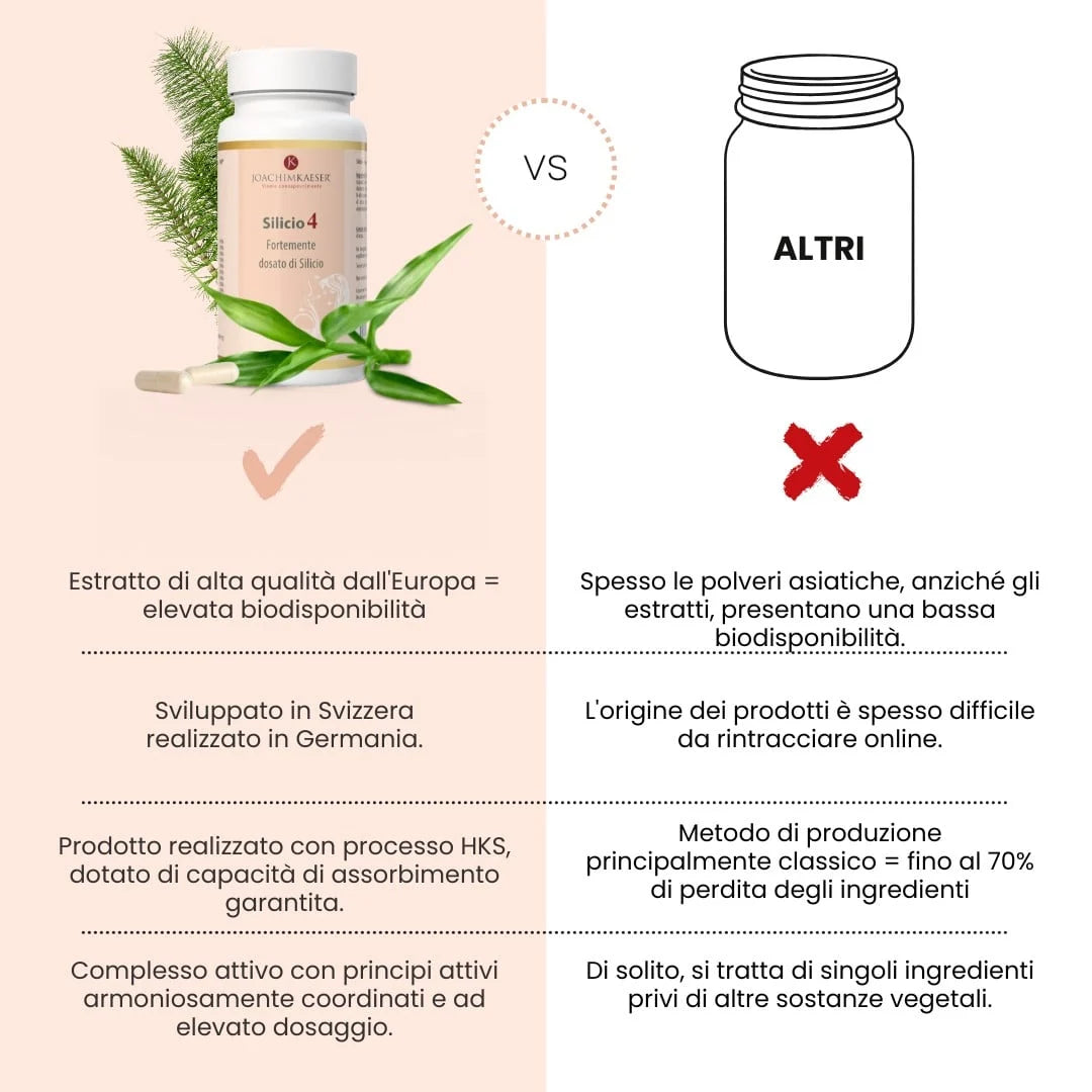 Silicio 4